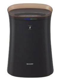 10 Sharp air cleaners for effective air cleaning Picture 10