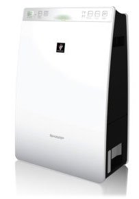 10 Sharp air cleaners for effective air cleaning Picture 9