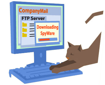 10 silly things are still seen in smart IT people Picture 6