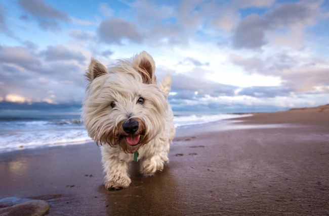 10 simple photography techniques for impressive photos Picture 12