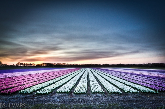 10 simple photography techniques for impressive photos Picture 20