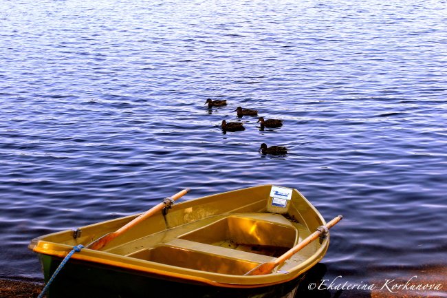 10 simple photography techniques for impressive photos Picture 25