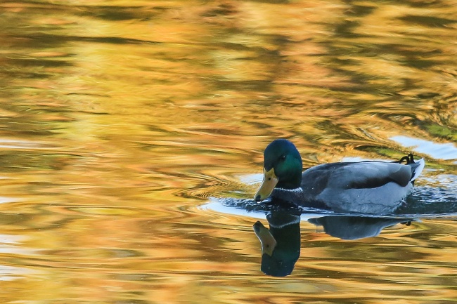 10 simple photography techniques for impressive photos Picture 33