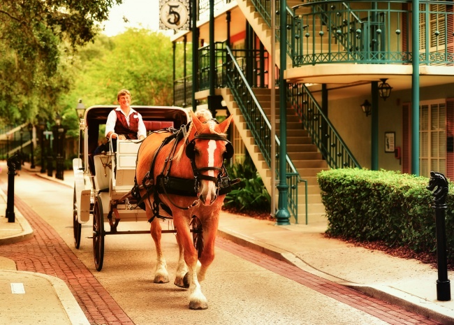 10 simple photography techniques for impressive photos Picture 34