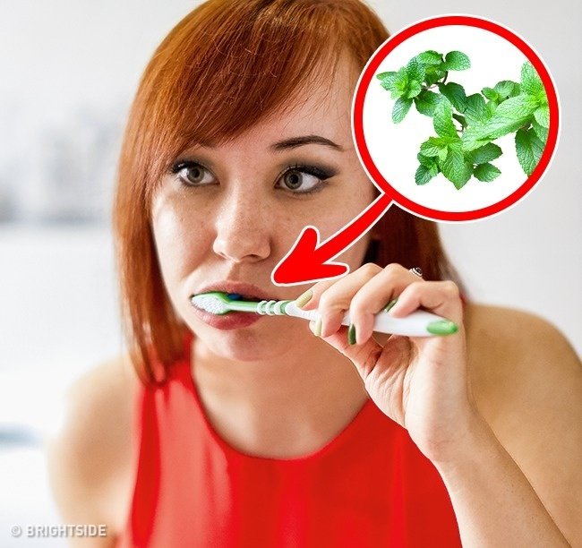 10 simple ways to eliminate the habit of eating snacks after dinner Picture 9