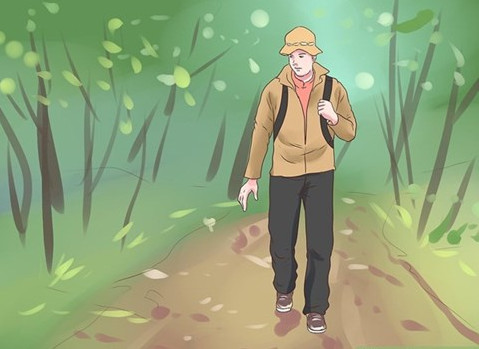 10 survival skills for lost forest goers Picture 10