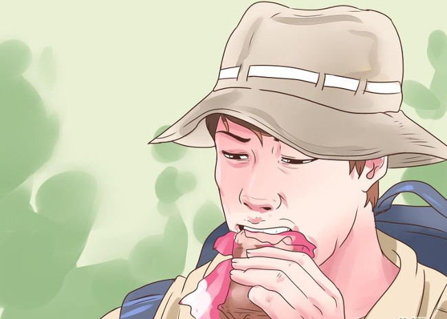 10 survival skills for lost forest goers Picture 2