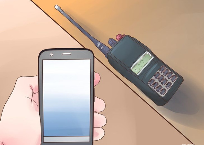 10 survival skills for lost forest goers Picture 4