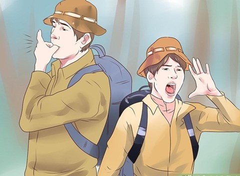 10 survival skills for lost forest goers Picture 9