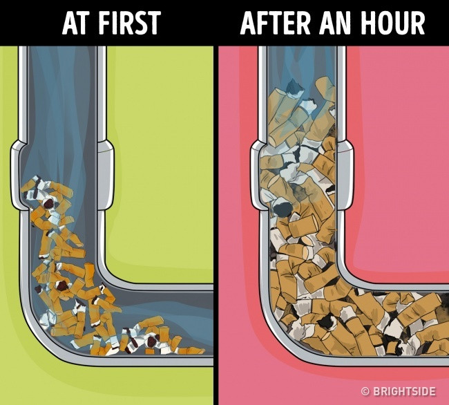 10 things absolutely should not be drained down the drain pipe Picture 9