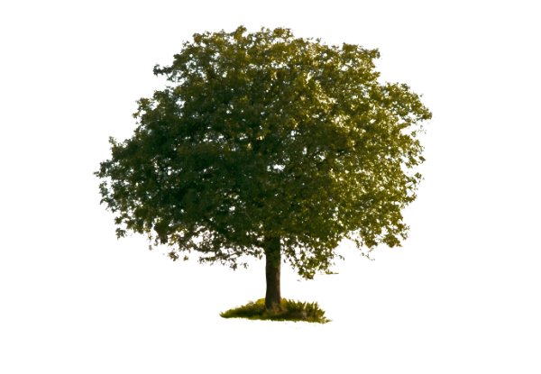 10 things to know about Mask in Photoshop Picture 3