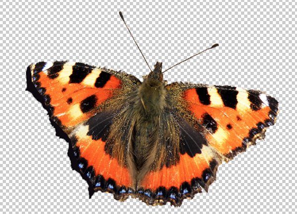 10 things to know about Mask in Photoshop Picture 9