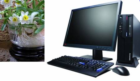 10 tips to prevent computer radiation, laptops help protect health Picture 1