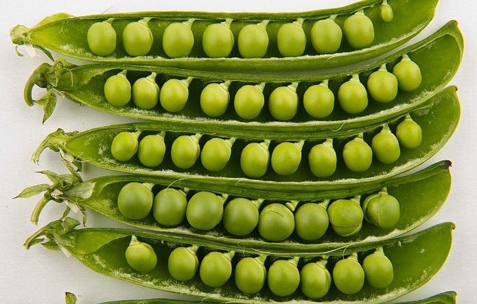 10 types of foods that help increase muscle mass for men Picture 4