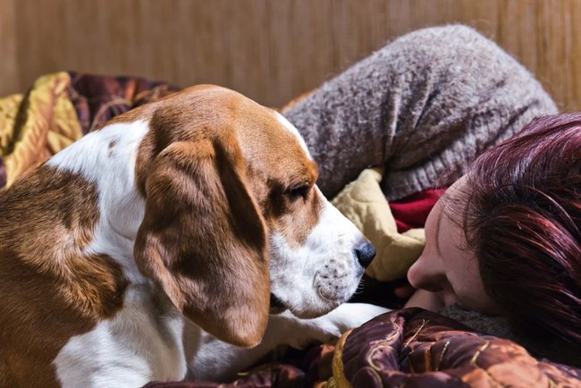 10 unexpected benefits when raising a dog you may not know Picture 3