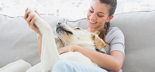 10 unexpected benefits when raising a dog you may not know Picture 5