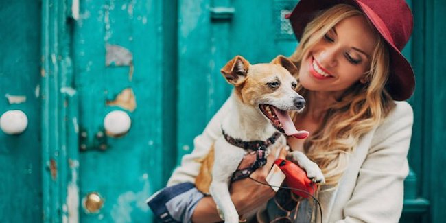 10 unexpected benefits when raising a dog you may not know Picture 6