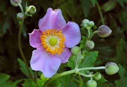 10 'unique' digital photography Picture 2