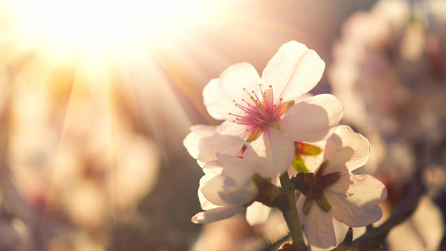 10 worthy words for you to choose as your living motto Picture 4