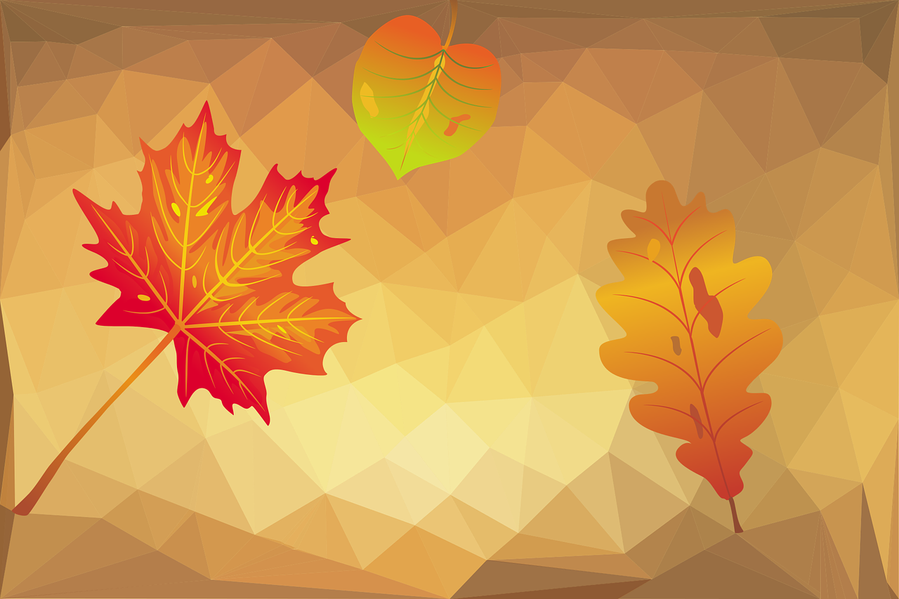 100+ Beautiful Background PNG Picture 68