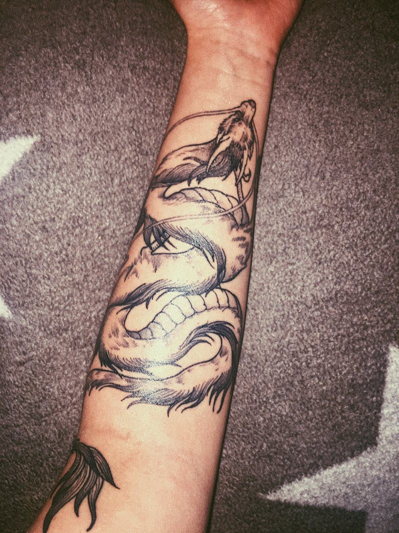 100+ Best dragon tattoo templates today Picture 100