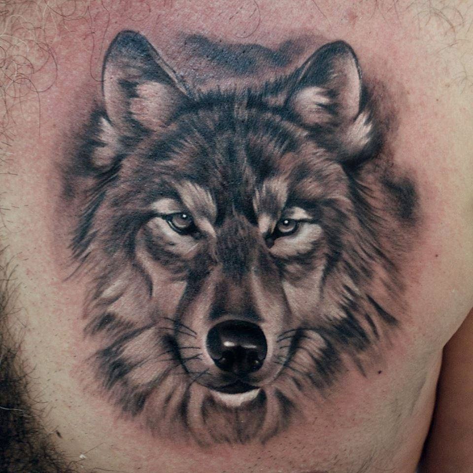 100+ Best Tattoo Models Picture 12