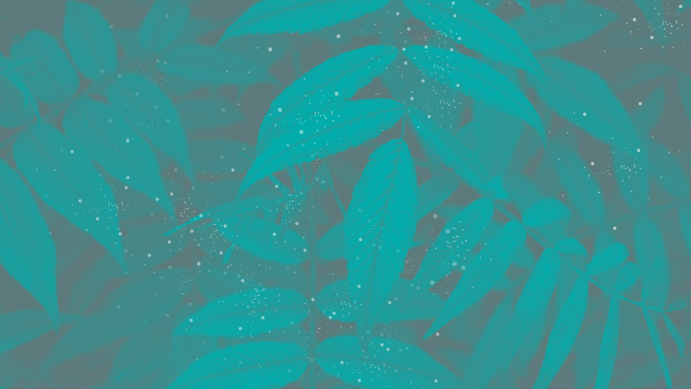 100+ most beautiful Background Picture 15