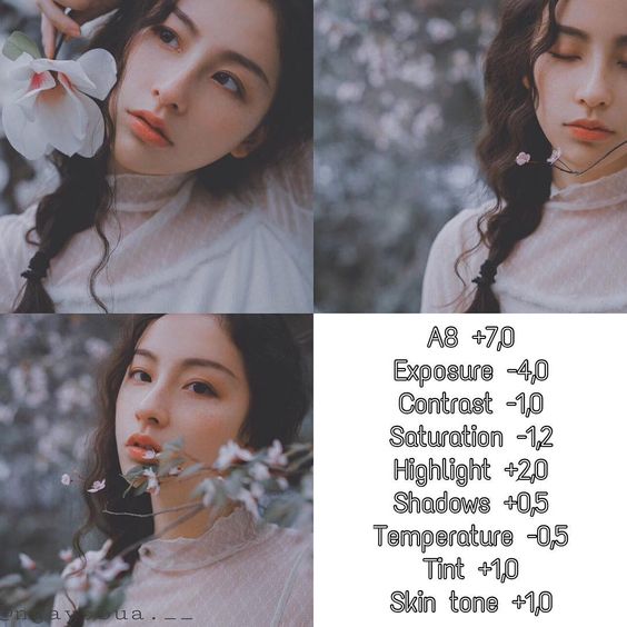 100+ most beautiful VSCO color correction formulas on Pinterest Picture 29