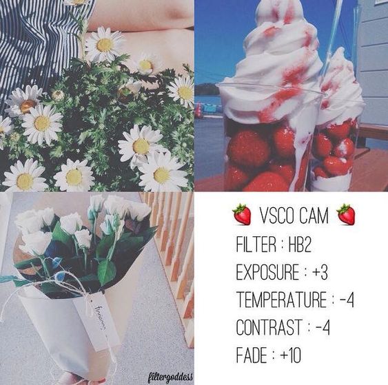 100+ most beautiful VSCO color correction formulas on Pinterest Picture 76
