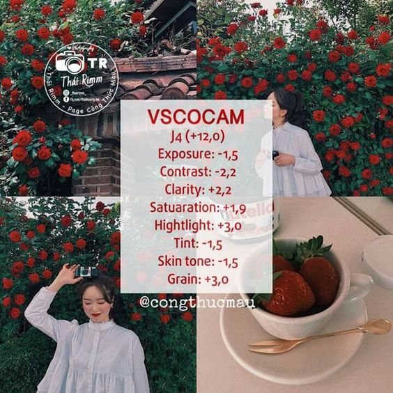 100+ most beautiful VSCO color correction formulas on Pinterest Picture 8