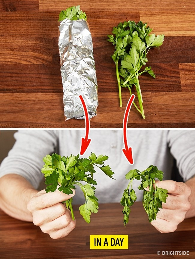 11 helpful tips for 'learning' from restaurant chefs Picture 11