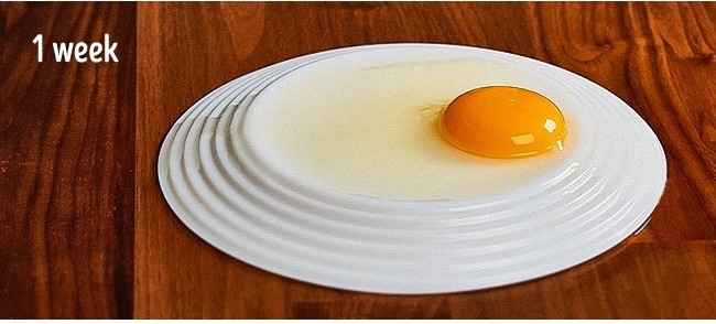 11 helpful tips for 'learning' from restaurant chefs Picture 7