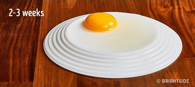 11 helpful tips for 'learning' from restaurant chefs Picture 8