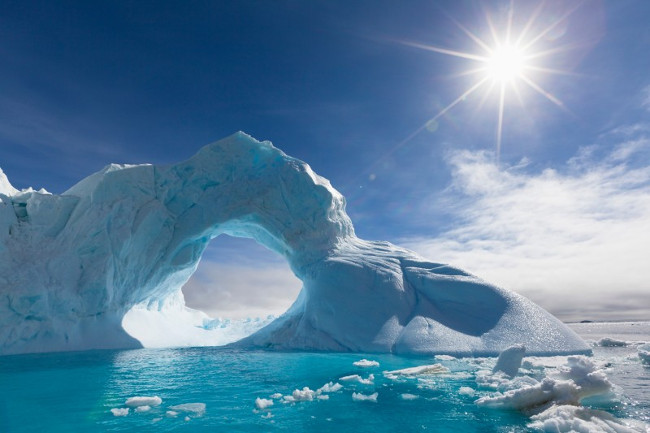 11 interesting differences between the two ends of the Earth: Arctic and Antarctica Picture 3