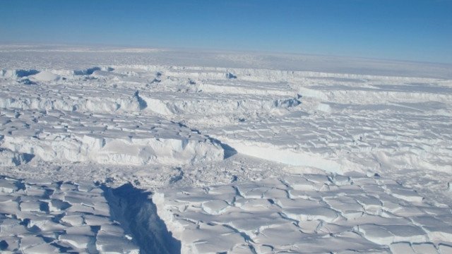 11 interesting differences between the two ends of the Earth: Arctic and Antarctica Picture 5