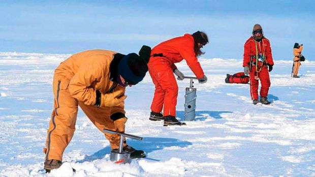 11 interesting facts few people know about Antarctica Picture 10