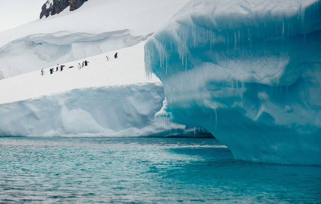 11 interesting facts few people know about Antarctica Picture 8