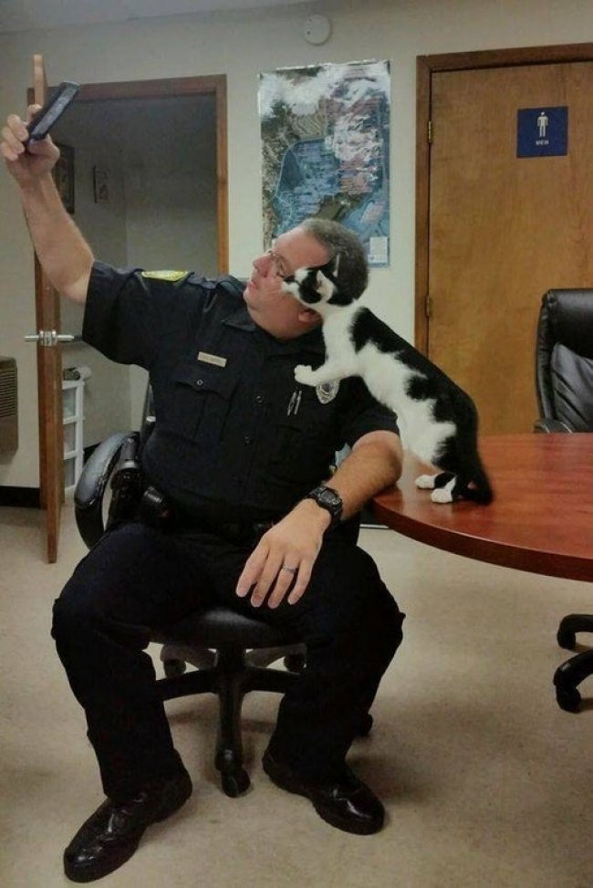 11 interesting features of the ideal man from a scientific perspective Picture 7