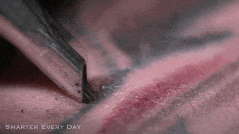 11 interesting photos that explain the questions about the world around us Picture 9