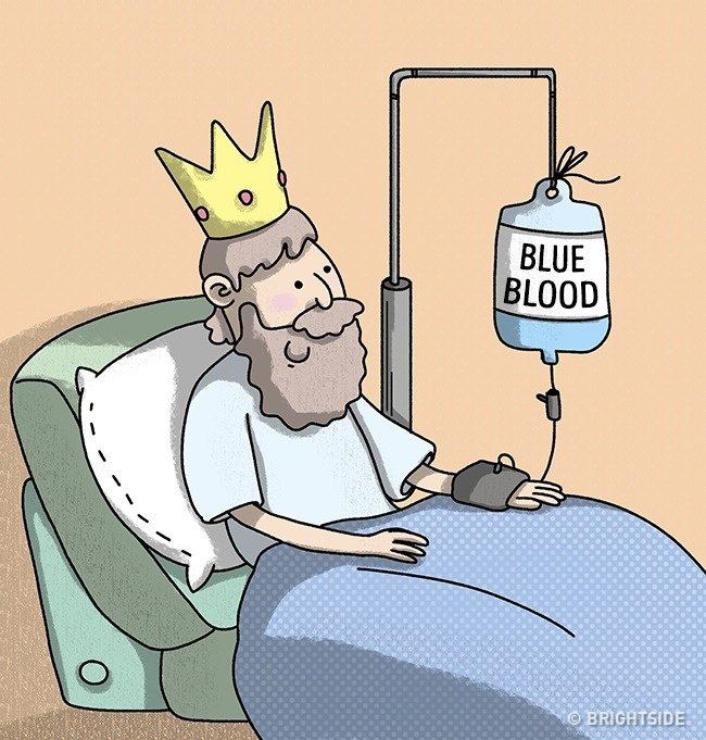 11 misconceptions about the most common human body that billions still believe Picture 2