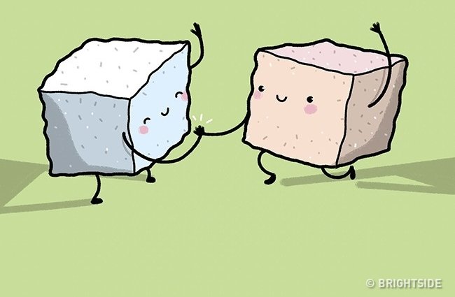 11 misconceptions about the most common human body that billions still believe Picture 3