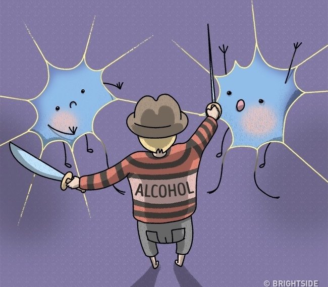 11 misconceptions about the most common human body that billions still believe Picture 4