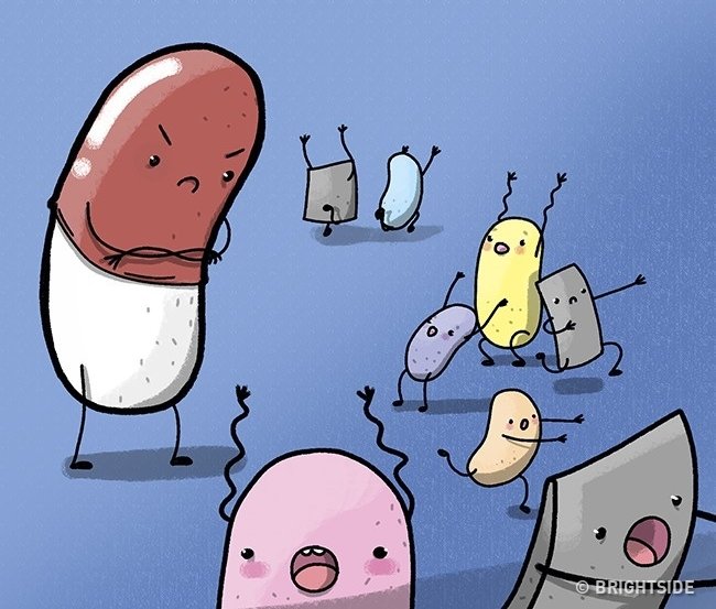 11 misconceptions about the most common human body that billions still believe Picture 9