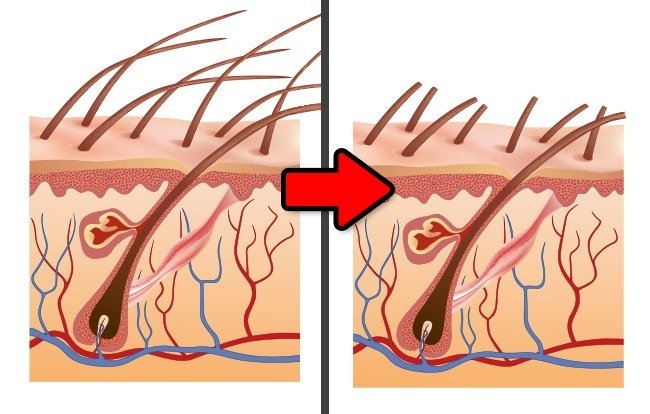 11 most common misunderstandings that billions of people around the world still believe Picture 3
