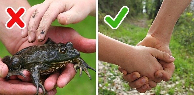 11 most common misunderstandings that billions of people around the world still believe Picture 4