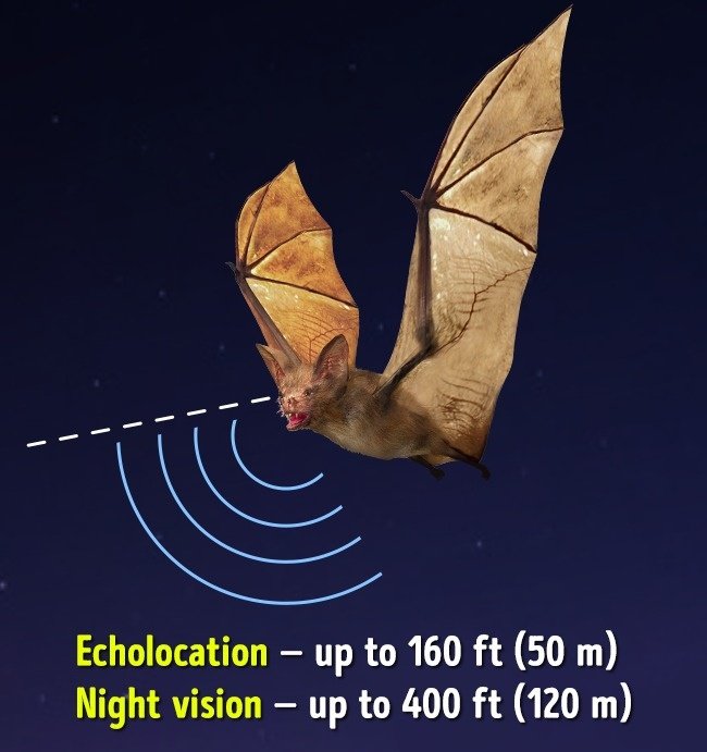 11 most common misunderstandings that billions of people around the world still believe Picture 8