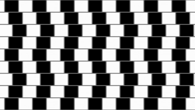 11 photos will make you no longer believe your eyes Picture 4