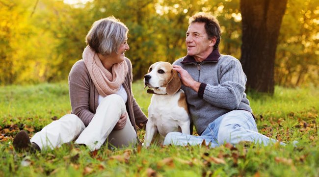 11 positive aspects of old age that no one tells you Picture 11