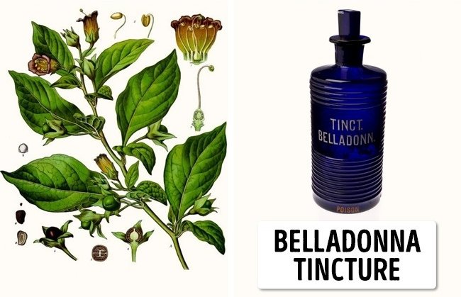11 species of lethal poisonous plants that we should avoid Picture 20