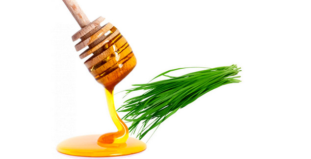 11 treatments for children to stop using antibiotics Picture 6